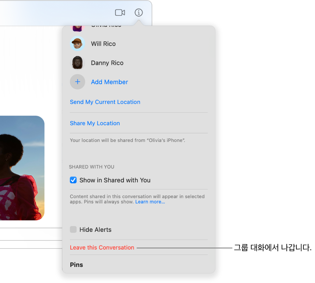 그룹 대화에서 세부사항 버튼을 클릭하면 나타나는 세부사항 보기. ‘이 대화에서 나가기’가 대화상자 하단 부근에 있음.