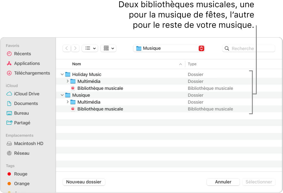 La fenêtre Finder montrant plusieurs bibliothèques : une pour la musique de Noël et l’autre pour le reste de votre musique.