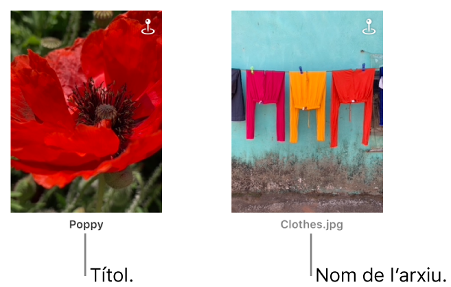 Dues fotos: una amb un títol a sota i l’altra amb un nom d’arxiu a sota.
