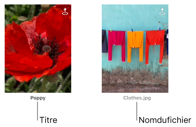 Deux photos, l’une au-dessus d’un titre et l’autre au-dessus d’un nom de fichier.