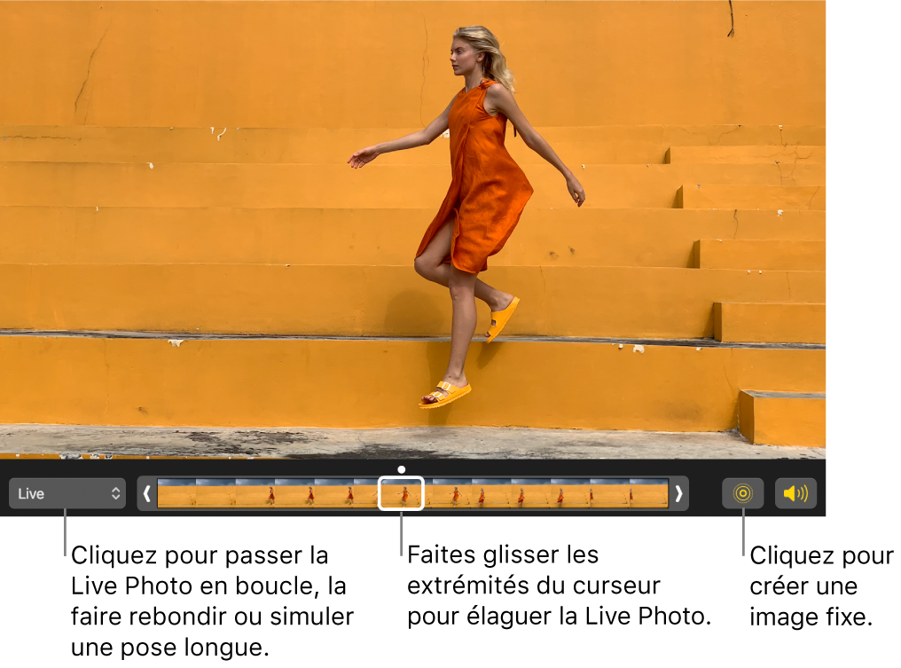 Une Live Photo en mode édition avec un curseur présentant les images de la photo. Les boutons Live Photo et Haut-parleur sont situés à gauche du curseur. Un menu local situé du côté droit permet d’ajouter un effet de boucle, de rebond ou de pose longue.