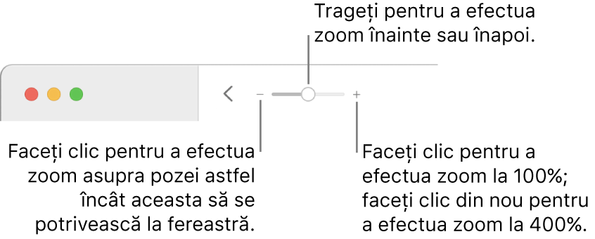 Bara de instrumente afișând comenzile de zoom.