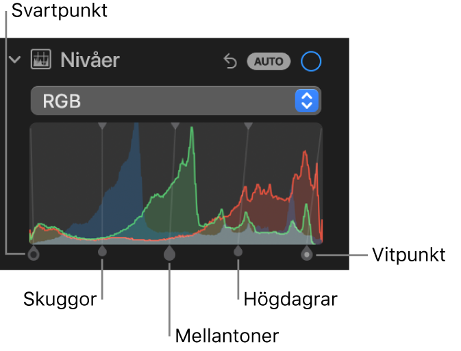 Nivåreglagen på panelen Justera med RGB-histogrammet och handtag nedanför med (från vänster till höger) svartpunkt, skuggor, mellantoner, högdagrar och vitpunkt.