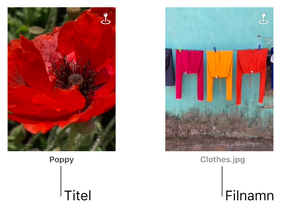 Två bilder, en med en titel nedanför och en annan med ett filnamn nedanför.