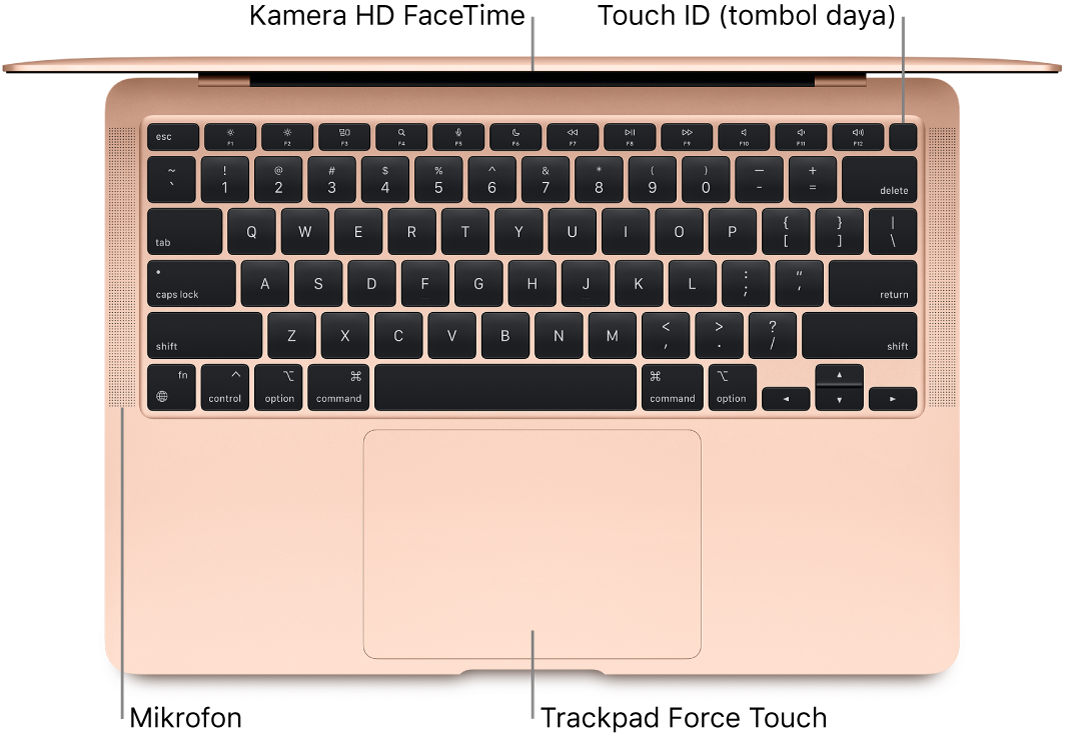 MacBook Air yang terbuka, dilihat dari atas, dengan keterangan untuk kamera HD FaceTime, Touch ID (tombol daya), mikrofon, dan trackpad Force Touch.