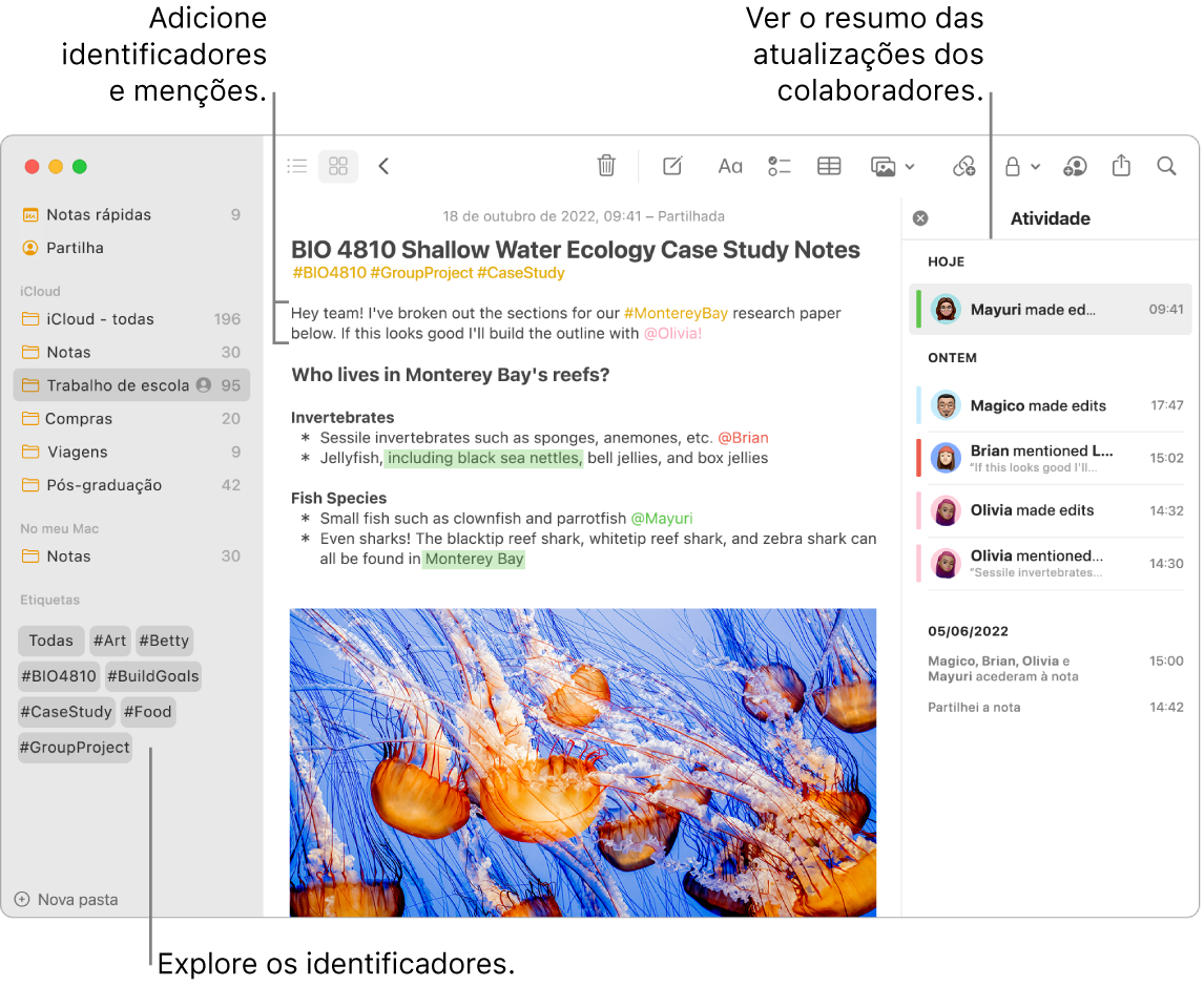 Uma janela da aplicação Notas na vista de galeria com uma chamada para identificadores na barra lateral. Na nota principal, está uma chamada para um identificador e uma menção. À direita está uma lista de atividades com uma chamada para ver um resumo das atualizações.