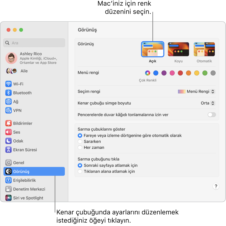 Sistem Ayarları’ndaki Görünüş penceresi.