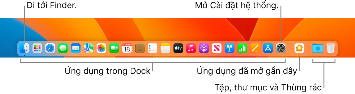 Dock, đang hiển thị Finder, Cài đặt hệ thống và thanh chia trên Dock phân tách các ứng dụng khỏi các tệp và thư mục.