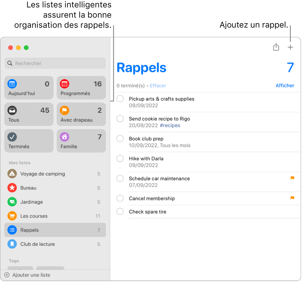 Fenêtre de Rappels avec des listes intelligentes sur la gauche, et d’autres rappels et listes en dessous. Le pointeur se trouve sur un rappel. Les listes intelligentes et le bouton « Ajouter un nouveau rappel » sont accompagnés de légendes.