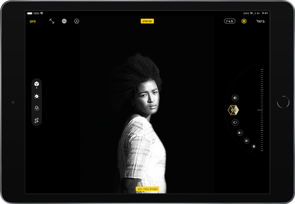 תמונה במצב ״פורטרט״ נמצאת במרכז מסך ״עריכה״. הכפתורים ״ביטול״, ״תאורת פורטרט״ ו״התאמת עומק״ נמצאים בפינה הימנית העליונה והפקד ״תאורת פורטרט״ נבחר. בחלק העליון המרכזי של המסך מופיע הכפתור ״התאמת עומק״ במצב פעיל. בפינה השמאלית העליונה נמצאים הכפתורים ״סימון״, ״מעבר למסך מלא״ ו״סיום״. כלי העריכה נמצאים בצדו הימני של המסך: מלמעלה למטה, פקדי ״פורטרט״, ״התאם״, ״מסננים״ ו״חיתוך״. פקדי ״פורטרט״ נבחרו. בצדו השמאלי של המסך מופיעים פקדי התאורה.