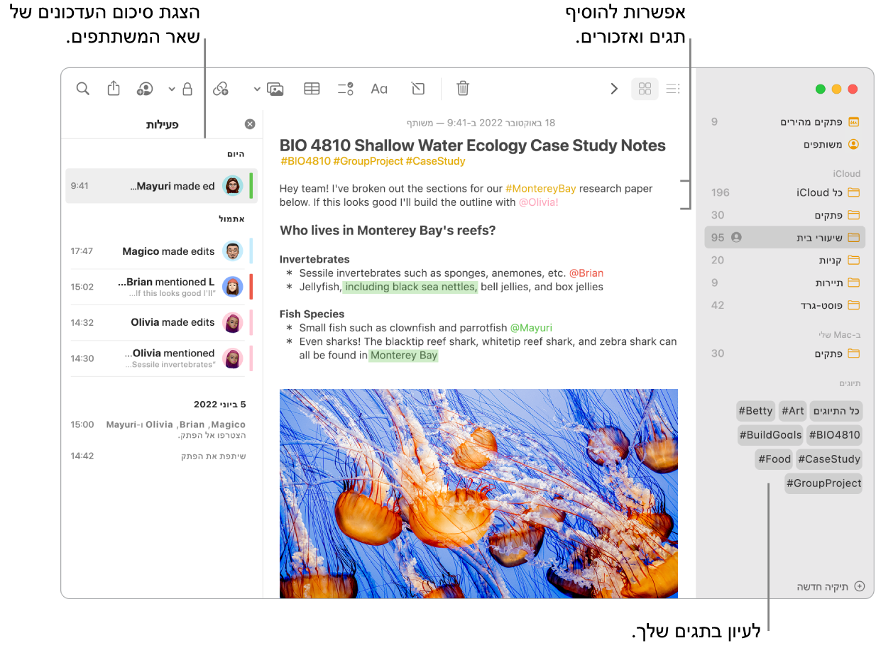 חלון ״פתקים״ בתצוגת ״גלריה״ עם הסבר לתגים בסרגל הצד. בפתק הראשי רואים הסבר לתג ולאזכור. בצד של החלון רואים רשימת פעילויות עם סימון המזמין לצפות בסיכום של העדכונים.