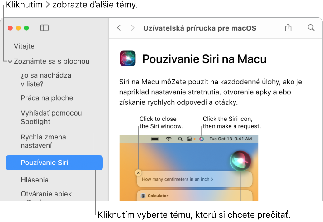 Prehliadač pomocníka znázorňujúci spôsob zobrazenia tém z postranného panela a spôsob zobrazenia obsahu témy.