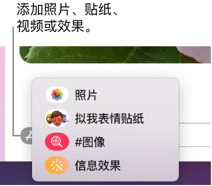 App 菜单,包含的选项可用于显示照片、拟我表情贴纸、GIF 和信息效果。