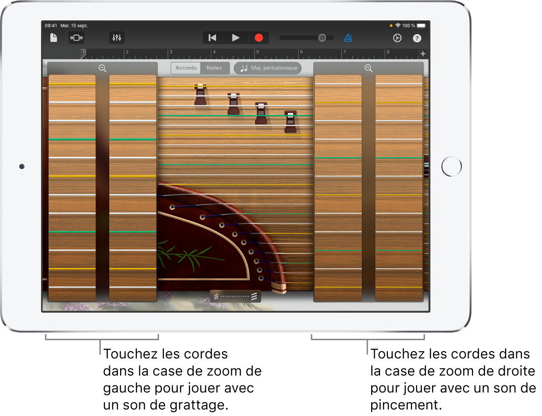 Cases de zoom du guzheng