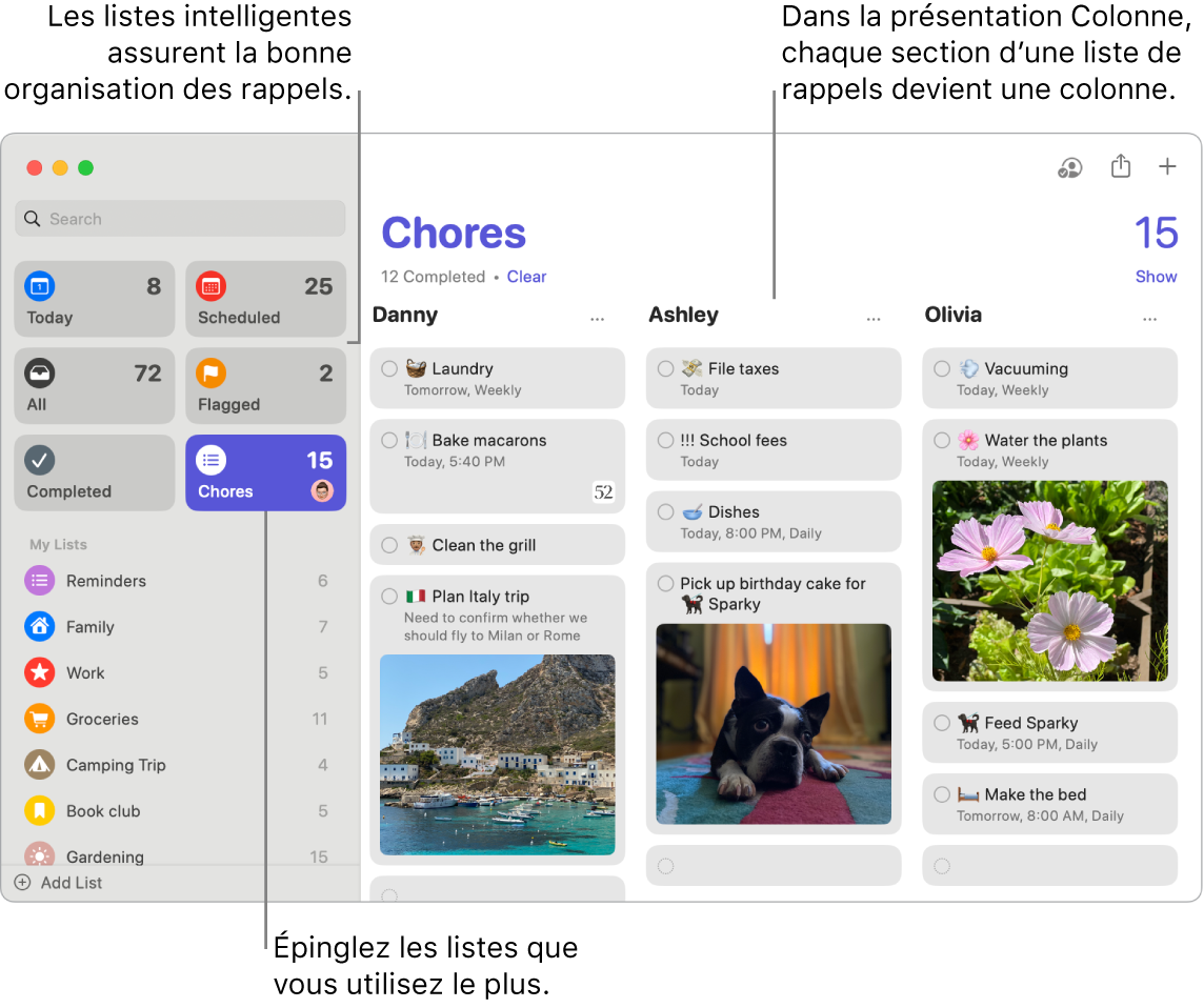 Fenêtre de Rappels avec des listes intelligentes sur la gauche, et d’autres rappels et listes en dessous. Le pointeur se trouve sur un rappel. Les listes intelligentes et le bouton « Ajouter un nouveau rappel » sont accompagnés de légendes.