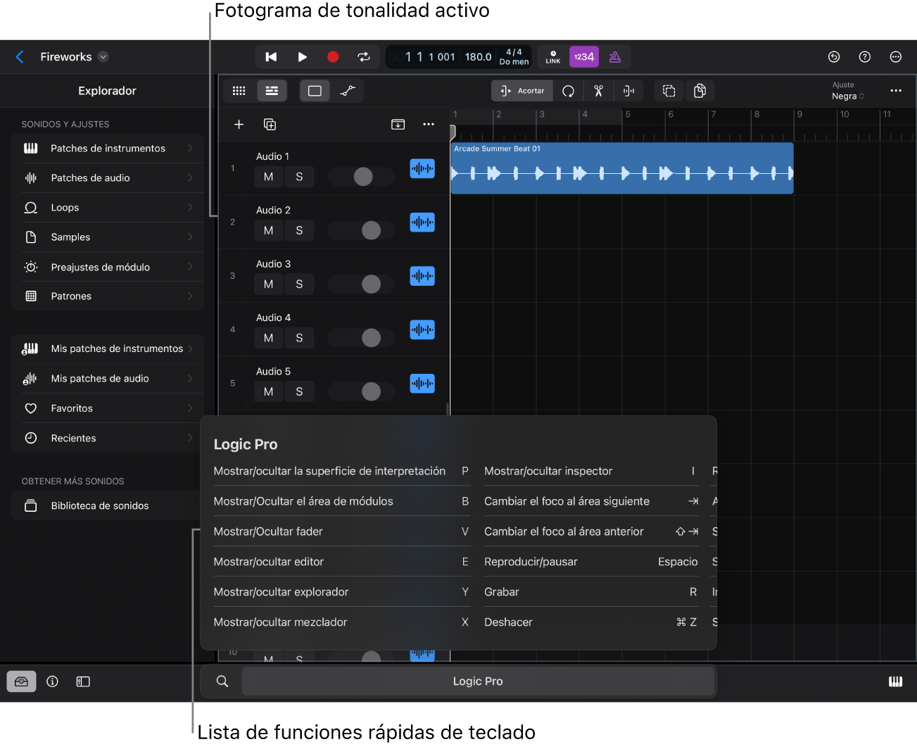 Marco del área activa.