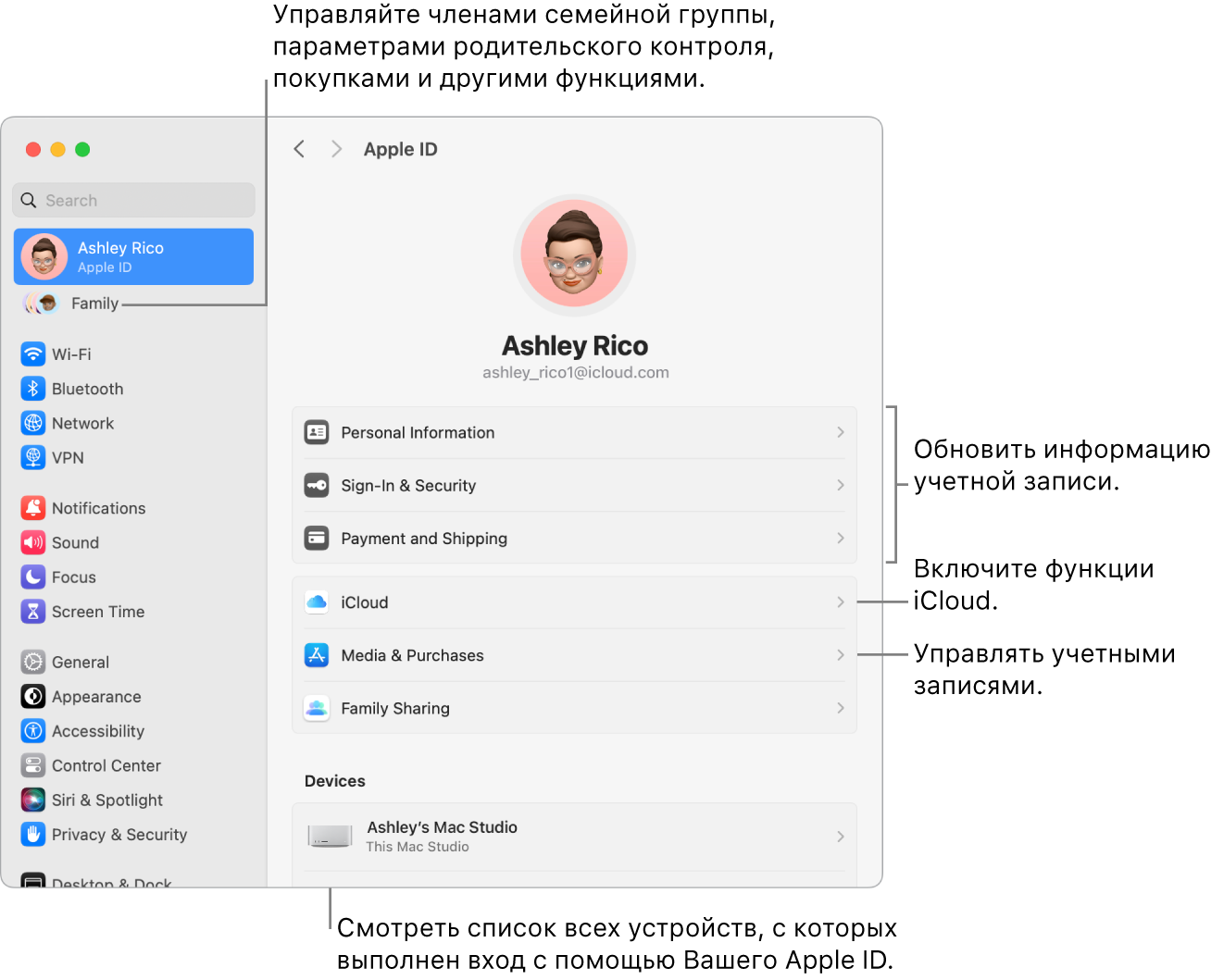 Настройки Apple ID в Системных настройках. Сносками показаны параметры обновления сведений учетной записи, включения или выключения функций iCloud и управления настройками учетных записей для мультимедиа. В настройках Семейного доступа показаны параметры управления устройствами членов семьи, родительским контролем, покупками и многим другим.