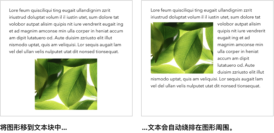 Pages 文稿窗口,显示文本在图形周围的绕排方式。