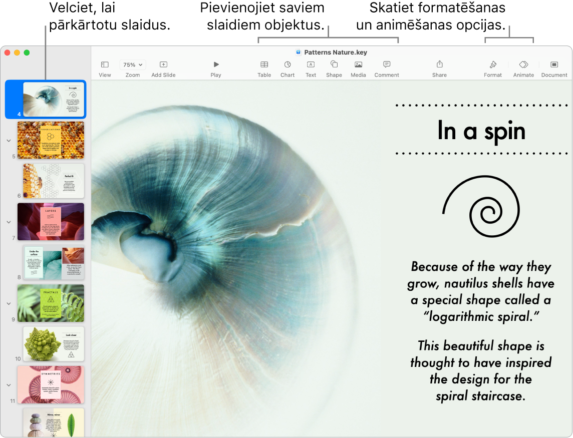 Lietotnes Keynote loga kreisajā malā redzams slaidu navigators un informācija par slaidu pārkārtošanu; rīkjosla un tās rediģēšanas rīki ir loga augšā, poga Collaborate augšējā labajā stūrī un pogas Format un Animate — labajā malā.