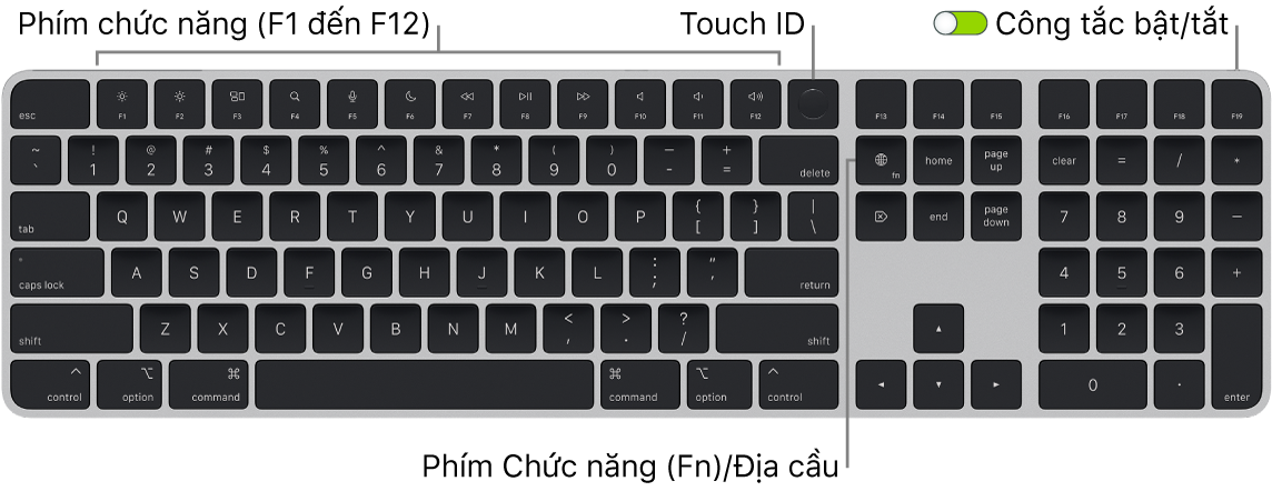 Magic Keyboard có Touch ID và Bàn phím số đang hiển thị hàng các phím chức năng, Touch ID ở trên cùng và phím Chức năng (Fn)/Địa cầu ở phía bên phải của phím Delete.