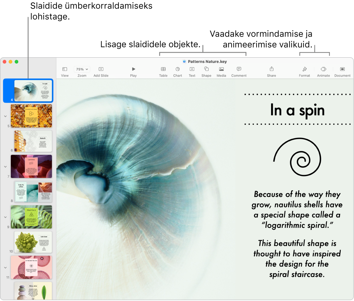 Keynote'i aknas kuvatakse vasakul slaidijaotist ning näidatakse kuidas slaide ümber korraldada, üleval on tööriistariba ja selle töötlustööriistad, üleval paremal osas nupp Collaborate ning paremal nupud Format ja Animate.