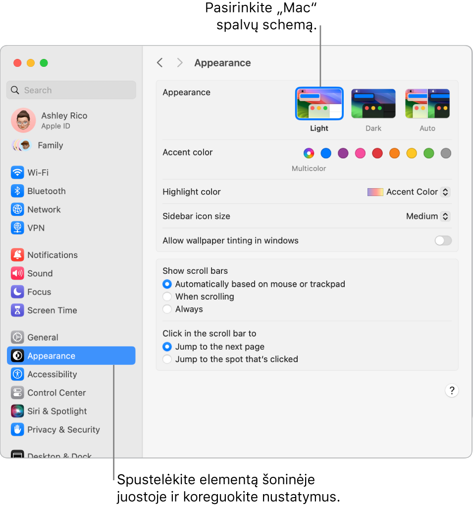 „System Settings“ langas „Appearance“.