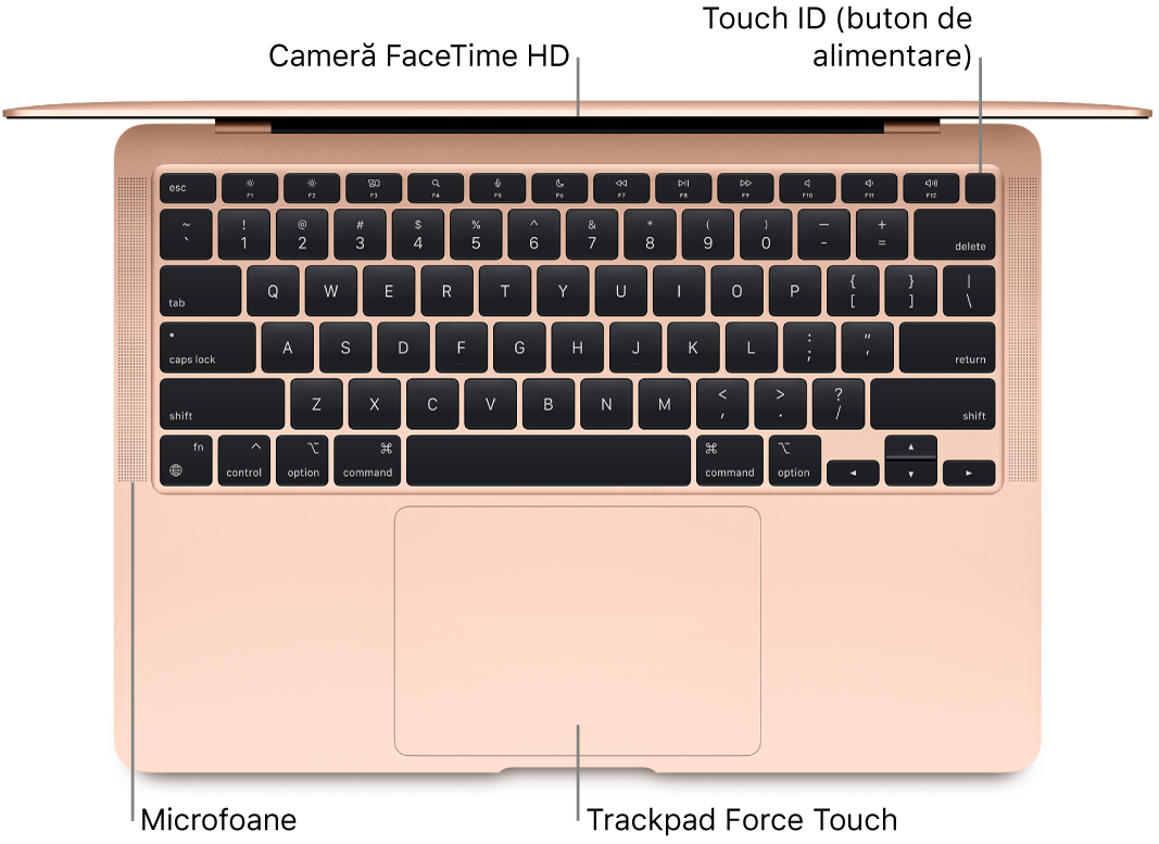 Un MacBook Air deschis, văzut din partea de sus, cu explicații pentru camera FaceTime HD, Touch ID (butonul de alimentare), microfoane și trackpadul Force Touch.