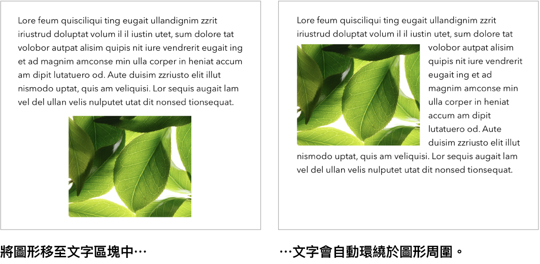 Pages 視窗,顯示文字如何環繞圖形。