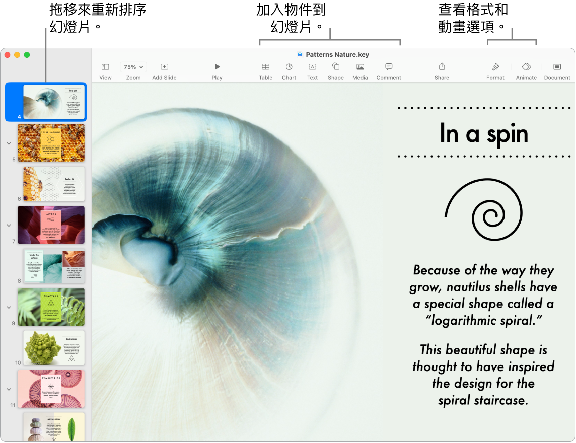 Keynote 視窗左方顯示幻燈片導覽器和如何重新排序幻燈片,最上方為工具列和其編輯工具,右上方附近為「合作」按鈕,右方為「格式」和「動畫效果」按鈕。