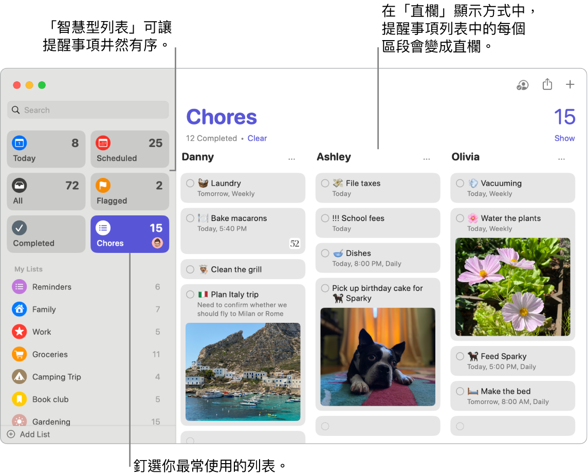 「提醒事項」視窗在左側顯示智慧型列表,而下方為其他提醒事項和列表。指標在提醒事項中。「智慧型列表」和「新增提醒事項」按鈕的說明框。