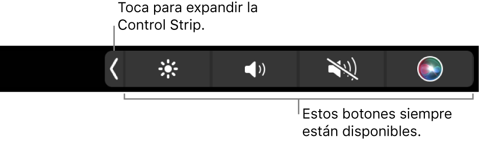 Pantalla parcial de la Touch Bar por omisión, con la Control Strip contraída con los botones que siempre están disponibles: brillo, volumen y silenciar. Pulsa el botón de ampliar para mostrar la Control Strip completa.