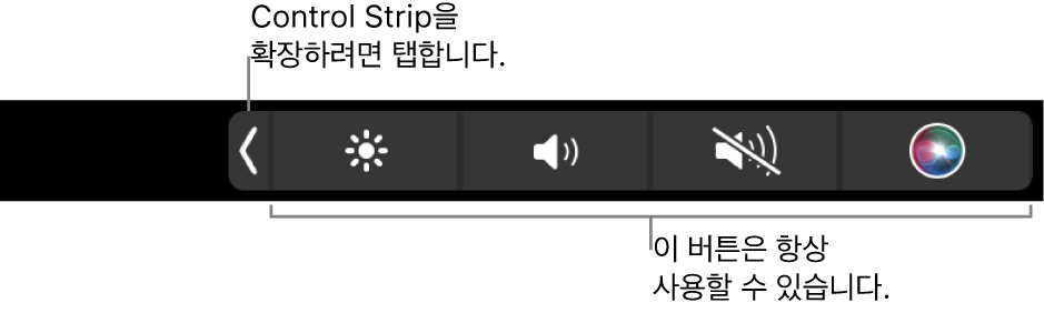 기본 Touch Bar의 일부 화면으로 축소된 Control Strip과 항상 표시되는 밝기, 음량 및 음소거 버튼을 보여줌. 확장 버튼을 탭하여 Control Strip 전체를 표시합니다.
