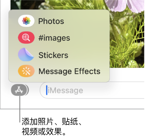 App 菜单,包含的选项可用于显示照片、贴纸、GIF 和信息效果。
