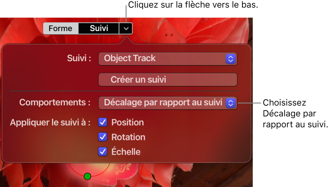Bouton Suivi et flèche vers la droite en haut du visualiseur, avec commandes Suivi affichées en dessous et menu local Comportement réglé sur « Décalage par rapport au suivi »