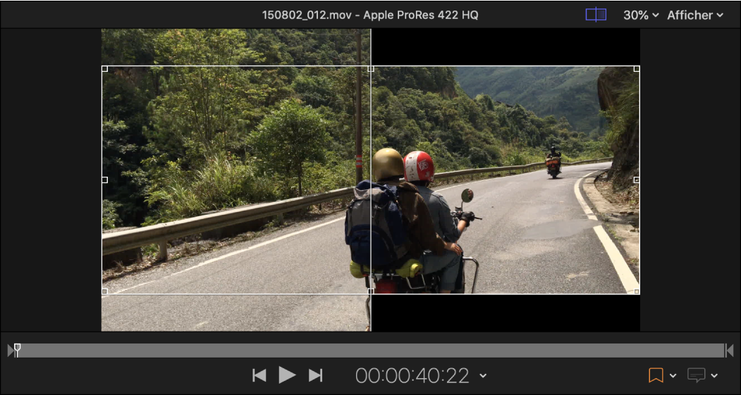 Zone d’aperçu affichant un exemple de recadrage Panavision 2,35/1 d’une source 16x9