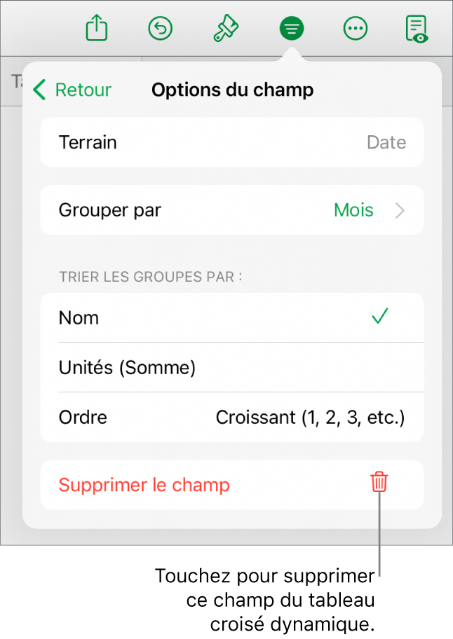 Le menu « Options du champ » affichant les commandes permettant de regrouper et de trier les données, ainsi que l’option de suppression d’un champ.