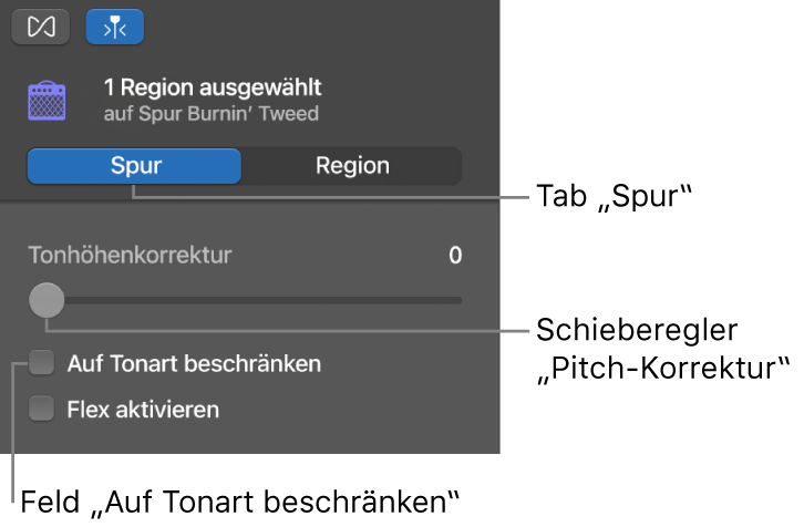 Informationsfenster „Audio-Editor“ im Spurmodus mit dem Regler „Pitch-Korrektur“ und dem Markierungsfeld „Auf Tonart beschränken“
