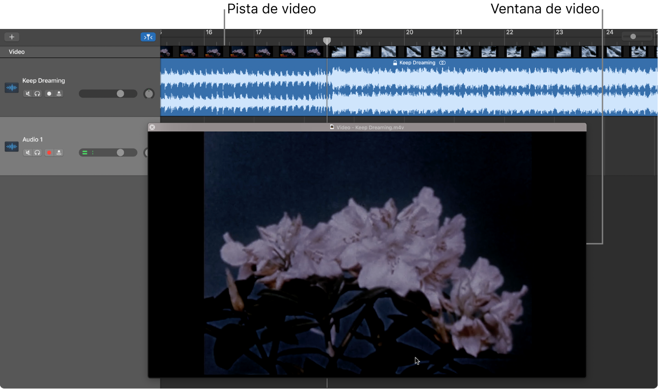 Ventana de película flotante y pista con el audio del video.