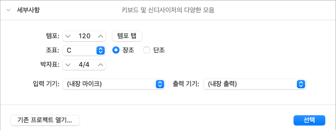 파라미터를 표시하는 열려있는 프로젝트 선택화면의 세부 영역