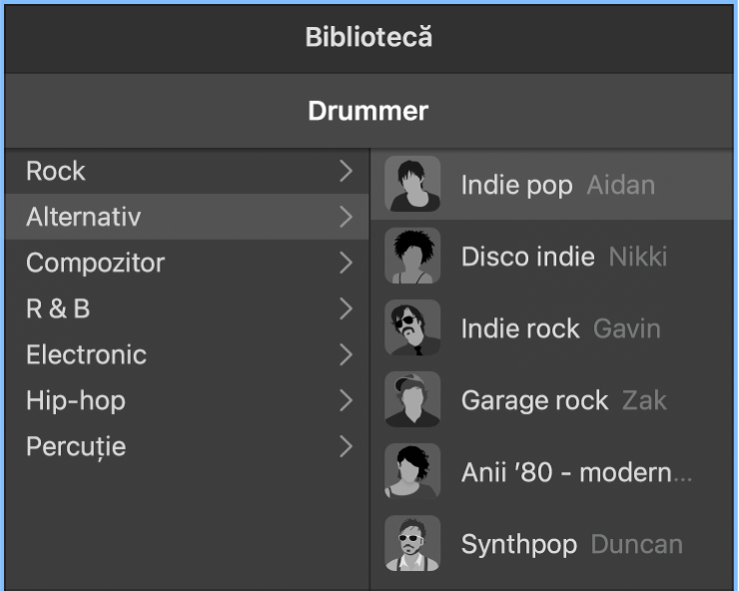 Card de caractere din editorul Drummer.