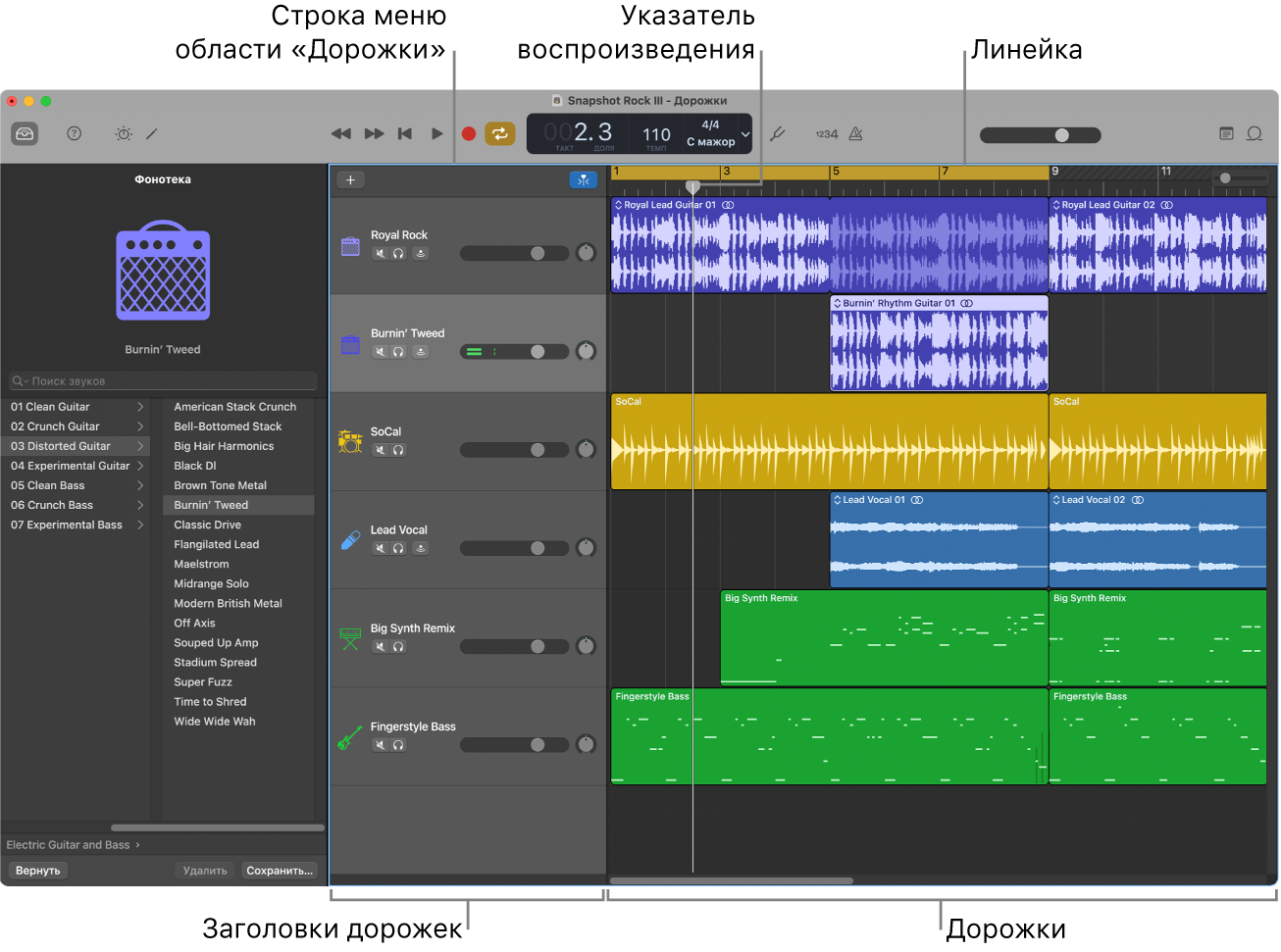 Область «Дорожки».