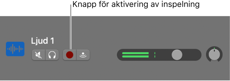 Spårrubrik med knappen för inspelningsaktivering.