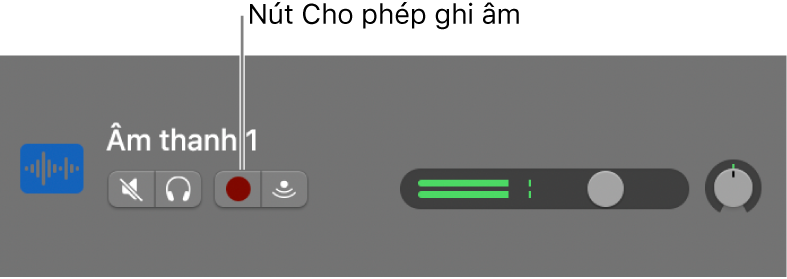 Tiêu đề rãnh đang hiển thị nút Cho phép ghi âm.