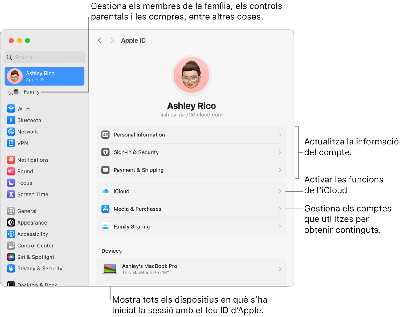 A la configuració del sistema, es veu la secció de l’ID d’Apple, amb opcions per actualitzar la informació del compte, activar o desactivar les funcions de l’iCloud o gestionar els comptes de contingut multimèdia, i la secció “En família”, amb opcions per configurar un grup familiar, establir controls parentals i administrar les compres, entre altres coses.