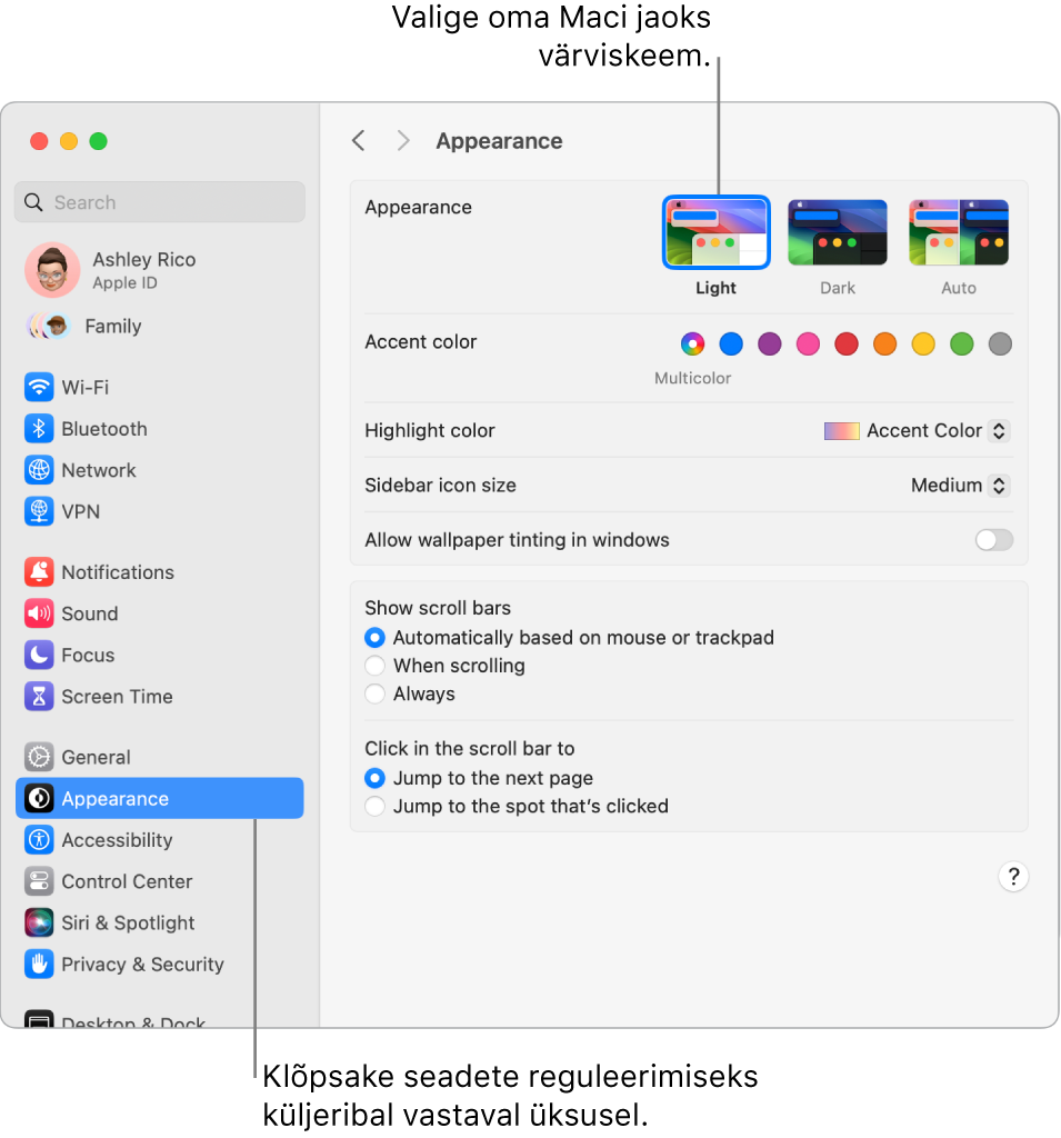 Jaotise System Settings aken Appearance.