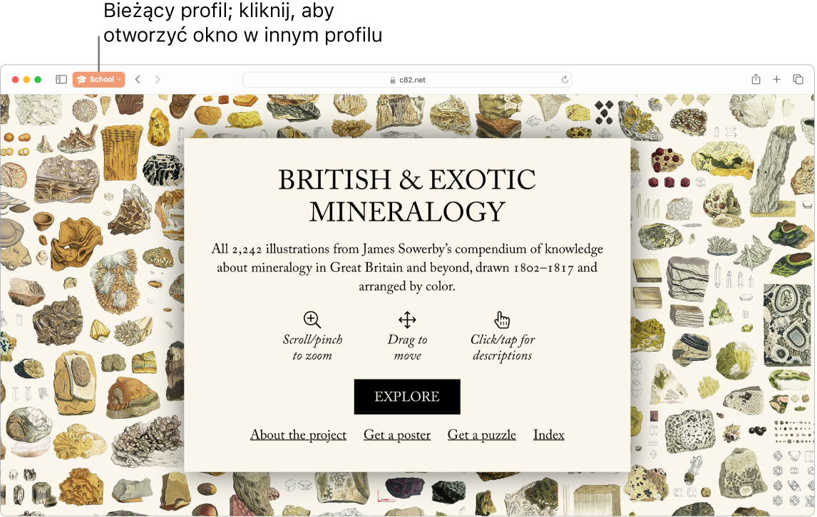 Okno Safari z profilem Szkoła.