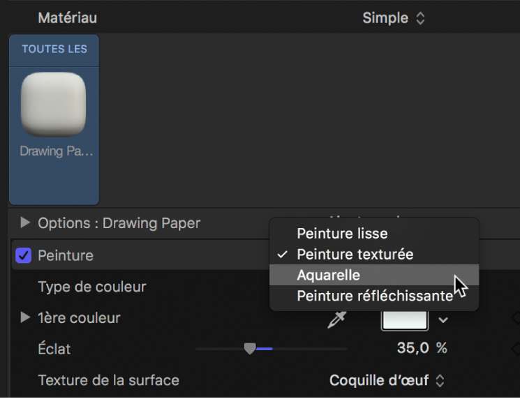 Inspecteur de texte 3D affichant le menu local Peinture