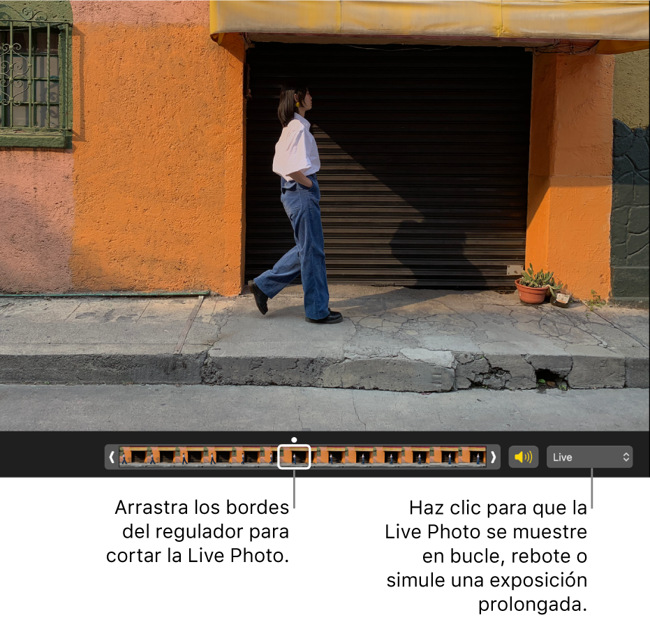 Una Live Photo en la vista de edición con un regulador debajo de ella que muestra los fotogramas de la foto. A la derecha del regulador están el botón del altavoz y un menú desplegable que puedes usar para añadir un efecto de bucle, de rebote o de larga exposición.