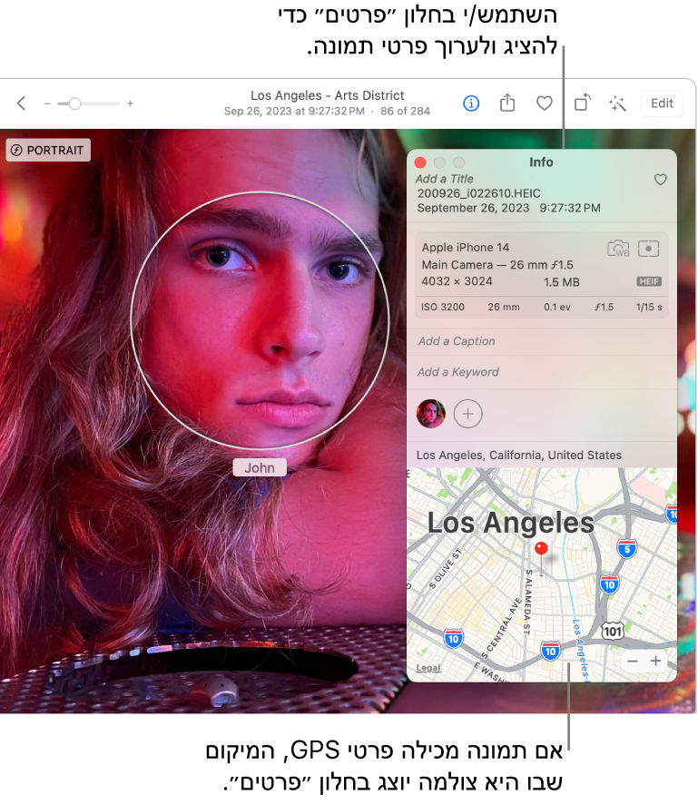 חלון ״פרטים״ של תמונה.