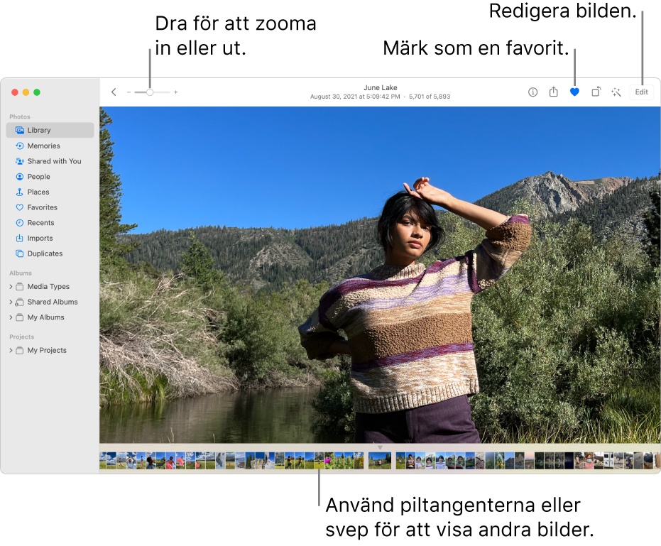 Bilder-fönstret med en förstorad bild till höger med en rad miniatyrer under. I verktygsfältet överst finns zoomreglaget, favoritknappen och redigeringsknappen.